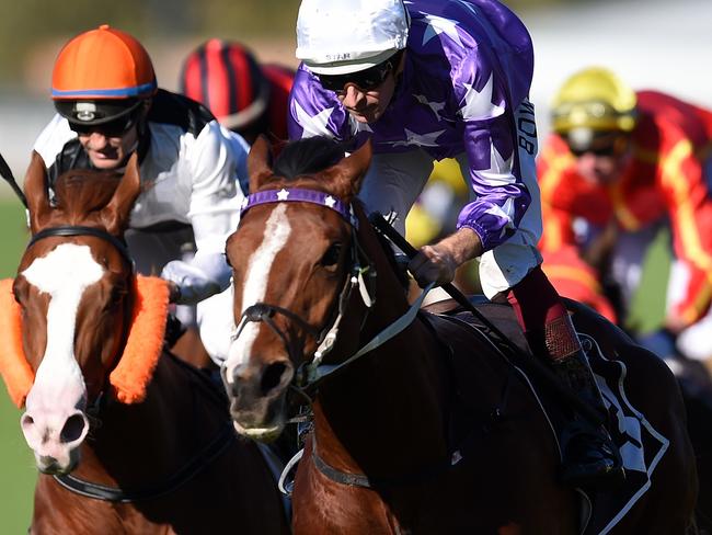 Jockey Hugh Bowman rides Cellarman to win race 7, Wintergreen Stakes during the Tattersal's Race Day at Eagle Farm racecourse in Brisbane, Saturday, June 25, 2016. (AAP Image/Dan Peled) NO ARCHIVING, EDITORIAL USE ONLY