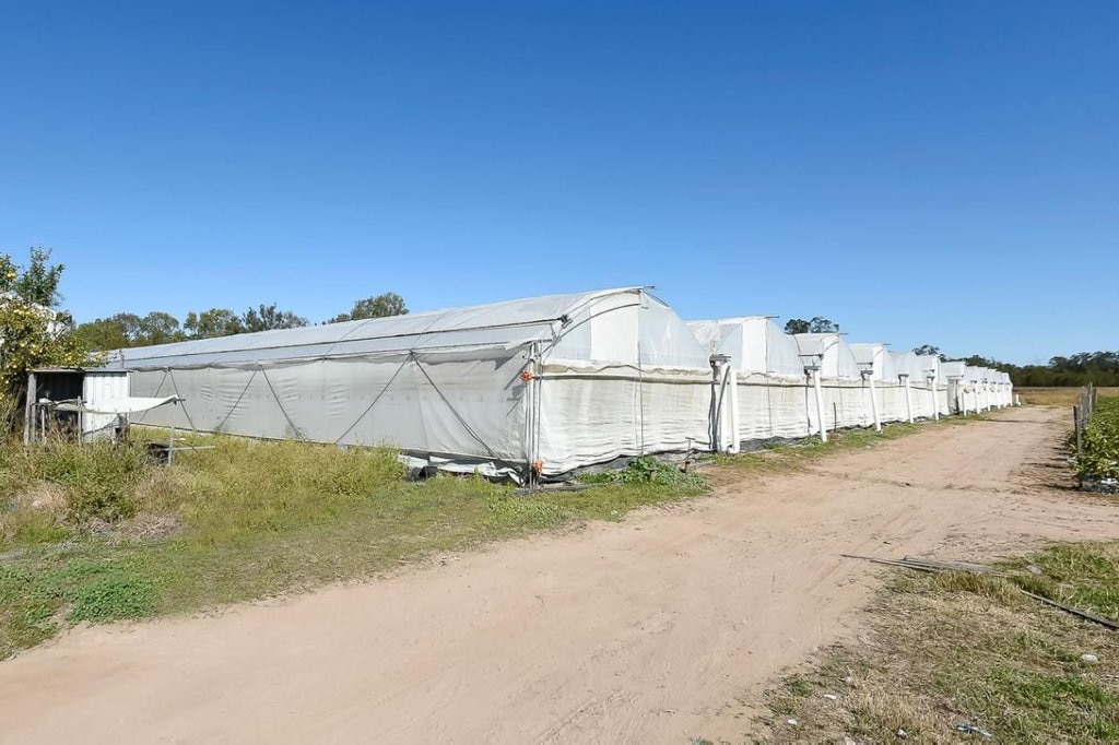 This cucumber farm at 5 Jamieson Road, Churchable, is for sale. Picture: Matthew Newton