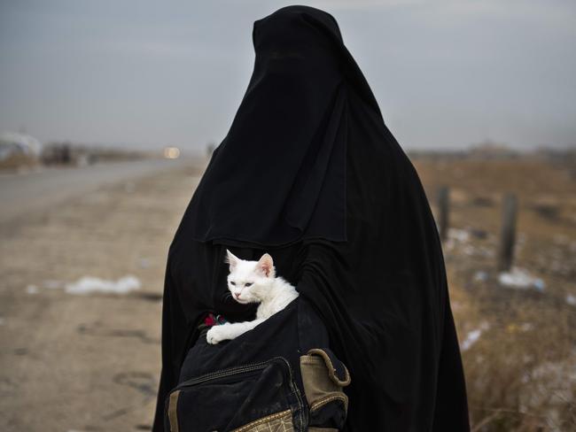 A displaced Iraqi woman holds her cat, Lulu, as she waits for transport in the Iraqi Kurdish checkpoint village of Shaqouli, about 35 kilometres east of Mosul, on November 10, 2016, after she fled her home with her children in the eastern Intisar neighbourhood of the embattled city to take refuge at a camp in Arbil. Picture: AFP PHOTO / Odd ANDERSEN