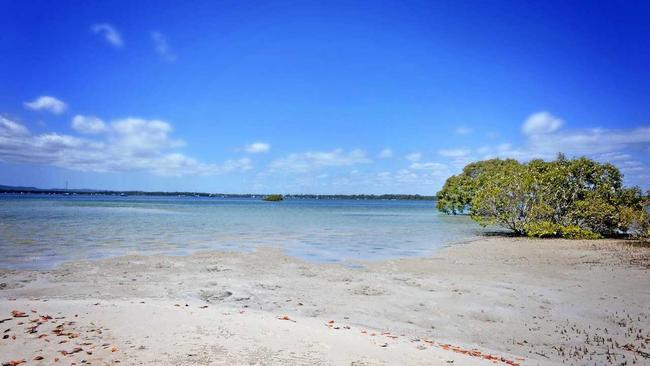 Norman Point Tin Can Bay. Picture: Renee Albrecht