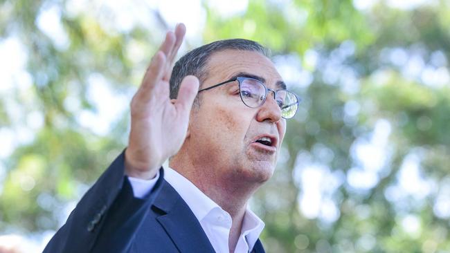 Premier Steven Marshall says the industry could be huge. Picture: Brenton Edwards