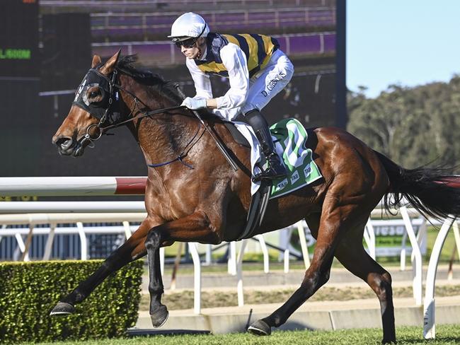 Tenniel can make it two in-a-row when she heads to Hawkesbury on Thursday. Picture: Bradley Photos