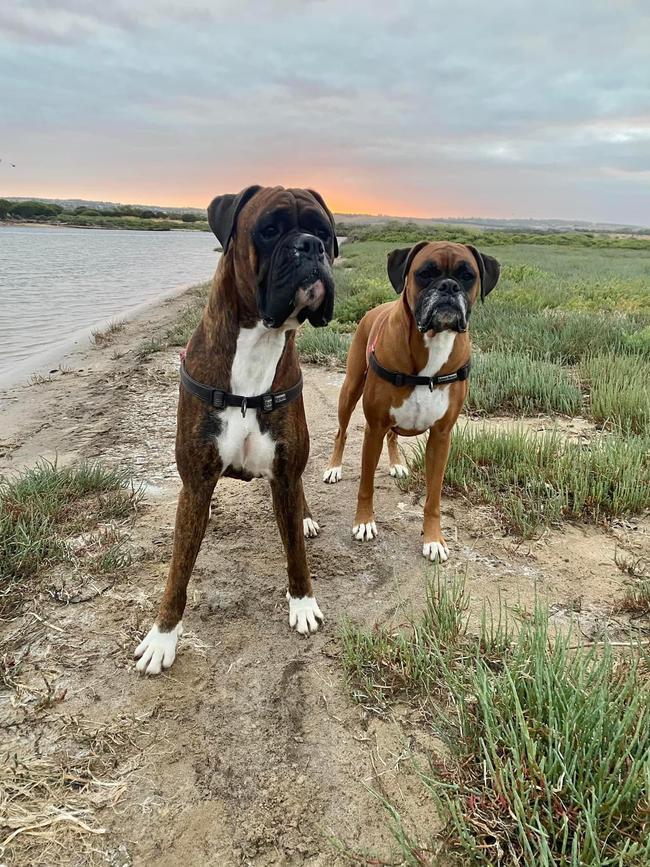 Raylene took her two pups for a walk every morning without issues. Picture: Supplied