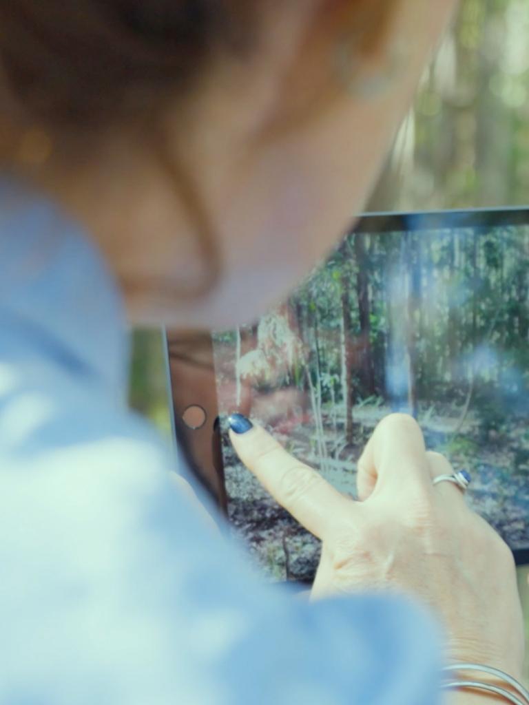 AI-powered photos can help predict catastrophic Australian bushfires. Picture: Supplied