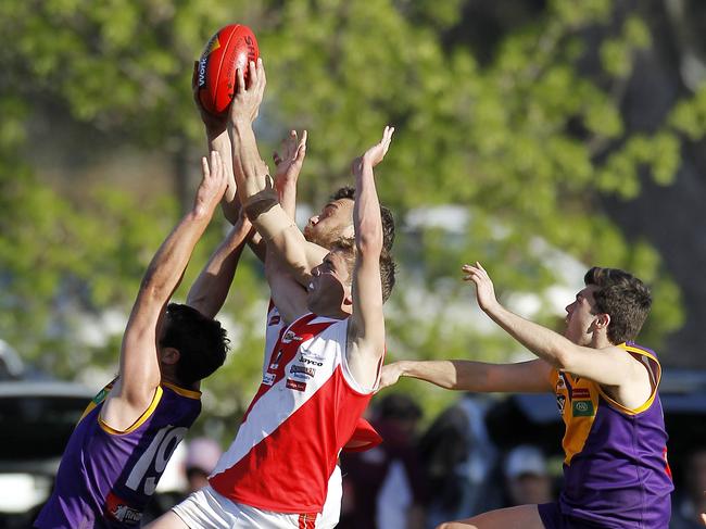 A footy game between Bridgewater Mean Machine and Bears Lagoon Serpentine Bears in Dr Webster’s electorate.