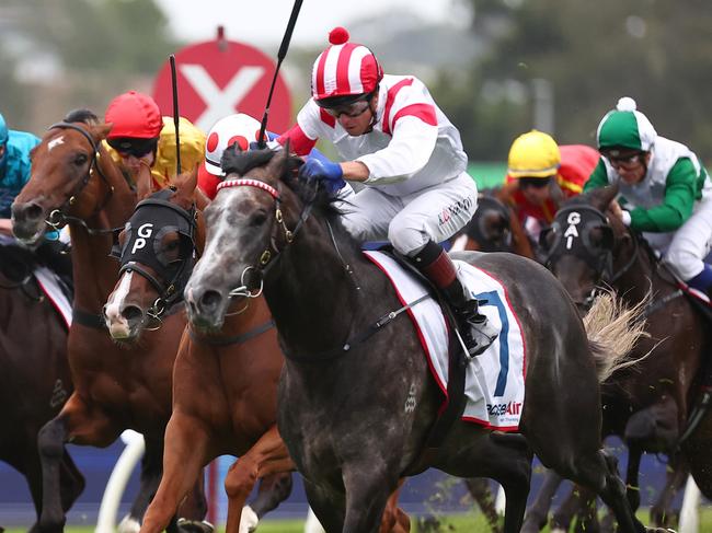 SYDNEY, AUSTRALIA - FEBRUARY 24: Kerrin Mcevoy riding Celestial Legend wins Race 8 Precise Air Hobartville Stakes  during "Silver Slipper Stakes Day" - Sydney Racing at Rosehill Gardens on February 24, 2024 in Sydney, Australia. (Photo by Jeremy Ng/Getty Images)