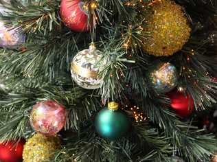 OH CHRISTMAS TREE: Christina Ongley shares her thoughts on that annual event - decorating the Christmas tree. . Picture: Nicholas Falconer