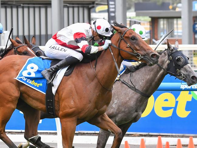 Superconstellation ridden by Ben Allen wins the Sportsbet Make It Look Easy Plate  at Caulfield The Heath Racecourse on March 13, 2024 in Caulfield, Australia. (Photo by Pat Scala/Racing Photos via Getty Images)