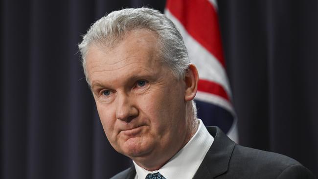 Immigration Minister Tony Burke. Picture: NewsWire / Martin Ollman