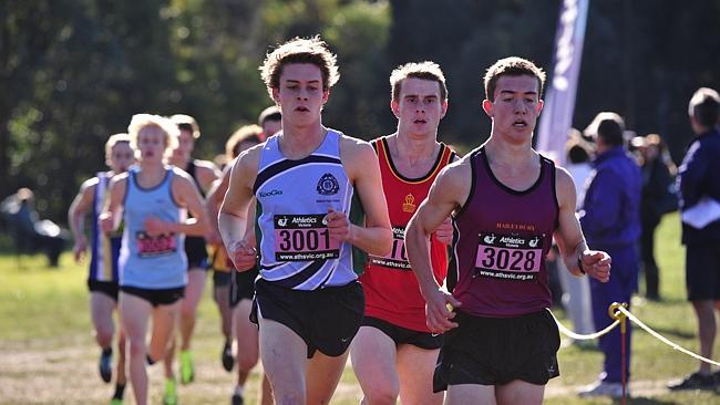 Competitors slogged it out at last year's Victorian All Schools Cross Country Championships at Bundoora Park.