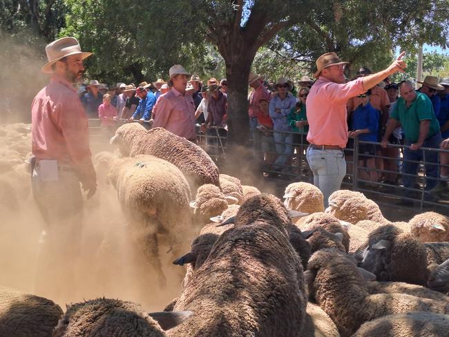 Livestock agents take the bids at the Deniliquin sheep sale. Picture: Jenny Kelly