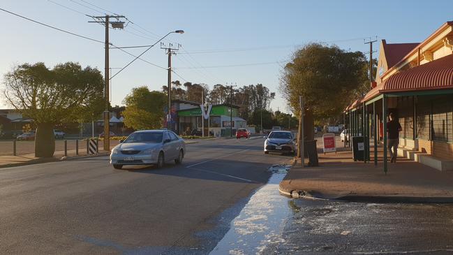 Trees and Stobie poles will be removed from the main street of Virginia as part of an upgrade. Picture: COLIN JAMES