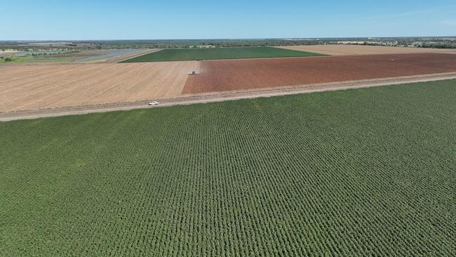 Sean Revell has sold the 518ha irrigated cotton property, Jungaburra, located 40km northwest of the Narrabri township.