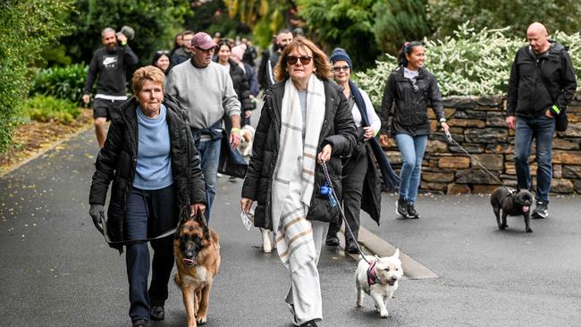 Million Paws Walk at Adelaide Botanic Gardens. Picture: Brenton Edwards