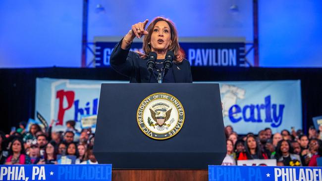 Beeneet Kothari says Kamala Harris is the Biden continuity candidate. Picture: Getty Images