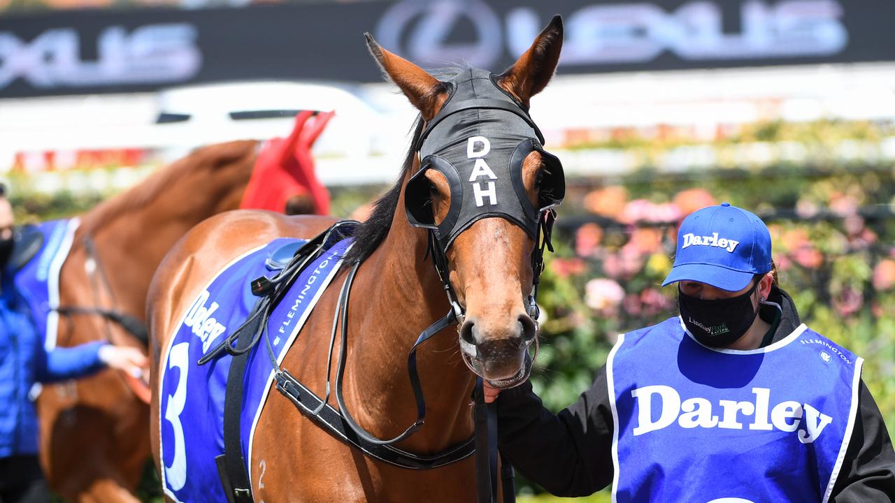Promising Lindsay Park-trained galloper Mortal Witness has a great chance to keep his unbeaten second-up record intact when he runs in the last race of Tuesday's Ararat meeting. Picture: Racing Photos via Getty Images.