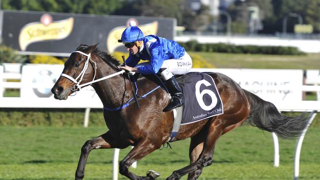 Winx is looking to win her fourth straight Cox Plate