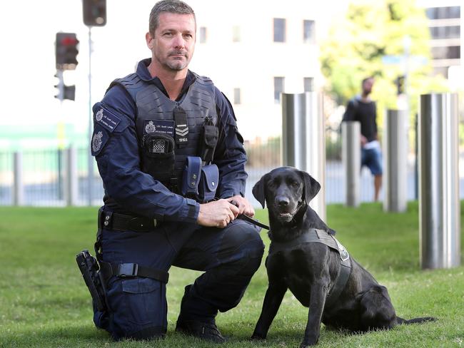 Technology Detection Dog Georgia with handler Leading Senior Constable Scott Lewis, Australian Centre to Counter Child Exploitation. Picture: Liam Kidston