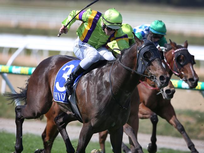 Durendal and Damian Lane combine to get the chocolates last month. Picture: David Crosling