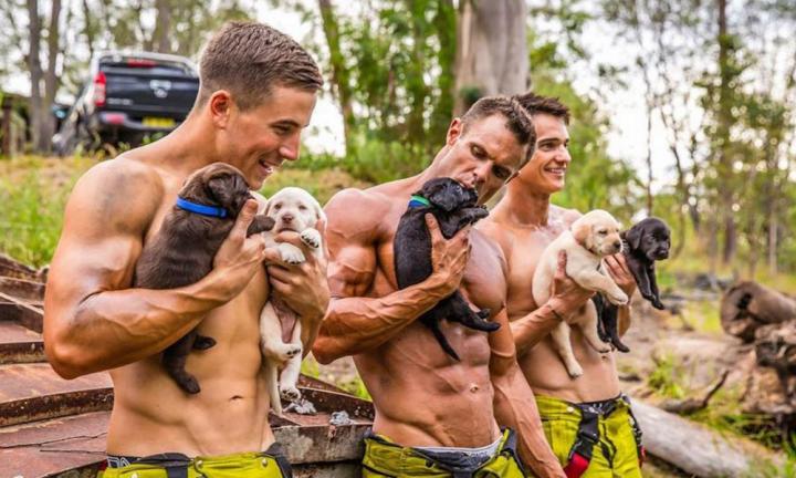 Firemen sales and puppies