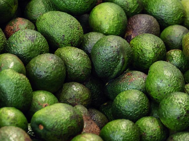 A bumper crop of avocados from this season's crop on the Atherton Tablelands has seen prices for the fruit fall as low as 25 cents. Picture: Brendan Radke