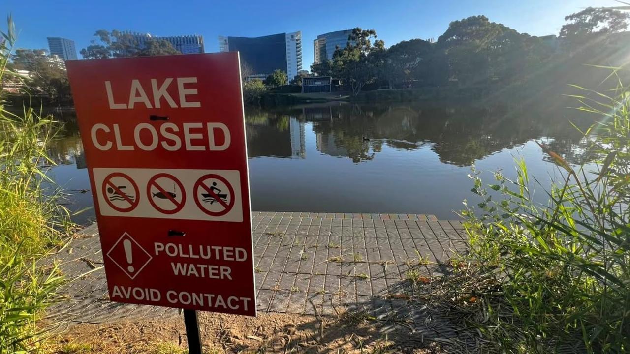 Paddle boats operations have been temporarily ceased. Picture: Facebook