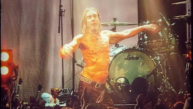 SEARCH AND DESTROY: Punk Godfather Iggy Pop triumphed at  Bluesfest 2019 despite the Blues Babblers. Picture: Christian Morrow