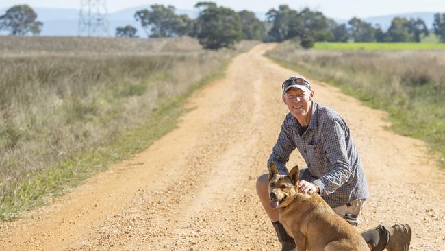 Municipal Association of Victoria president David Clark says the Allan Government has slashed regional development funding, leaving little for councils, business development and tourism.