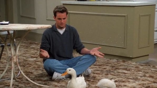 Matthew Perry as Chandler Bing in the episode The One With A Chick And A Duck.