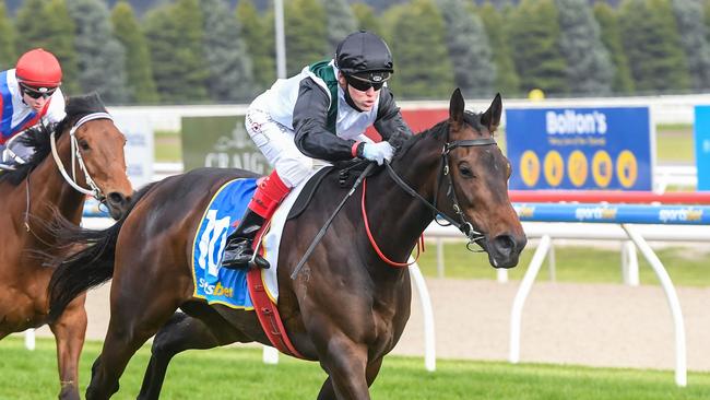 Craig Williams says Seymour Cup winner Mr Brightside deserves to be favourite for the Cantala Stakes. Picture: Racing Photos