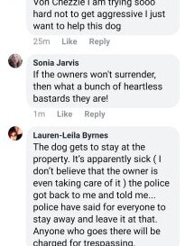 One of the thousands of comments on Facebook under the photo of the Chinchilla dog. Picture: Facebook