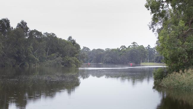 High numbers of the saltmarsh mosquito have been found near the Deepwater Park area along the Georges River.