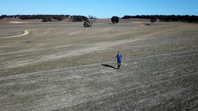 President of the Western Australian Farmers Federation and mixed grains farmer Rhys Turton is seen in his empty barley fields near York in the Wheatbelt region. Picture: AAP / Richard Wainwright.