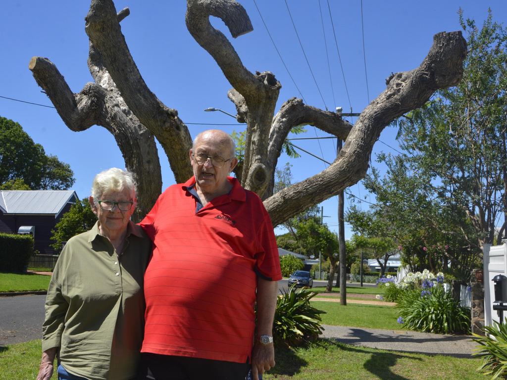 Moira and Roger Brown, of Allan Street, North Toowoomba, are asking Ergon Energy and the Toowoomba Regional Council to spare two Jacaranda tree that are slated for removal after they were deemed a safety risk.
