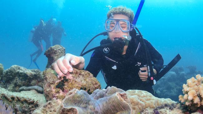 Woree State High School student Joe Tusa getting up close and personal to the marine life on Hastings Reef. Cairns Inspire