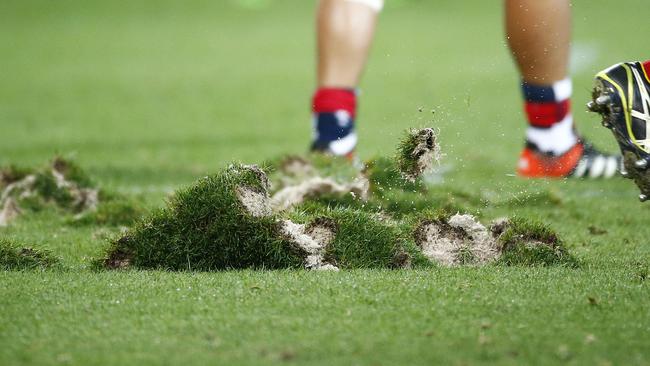 Clumps of AAMI Park turf are ripped up from a scrum. Picture: Colleen Petch.