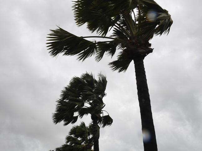 Wet weather as the Monsoon hits Darwin. Katrina Bridgeford.