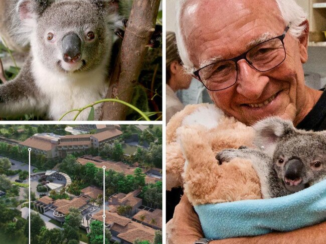 Developer vows to provide koala care in $50m, five-star hotel pitch