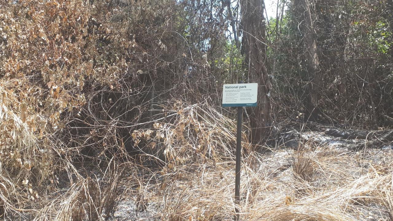 Fnq Heatwave: Firefighters Investigate Cause Of Rainforest Blaze 