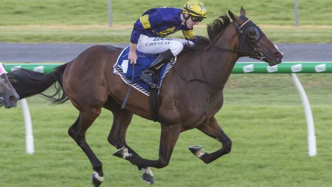 Declarationofheart at Morphettville. Picture: Akins Photography