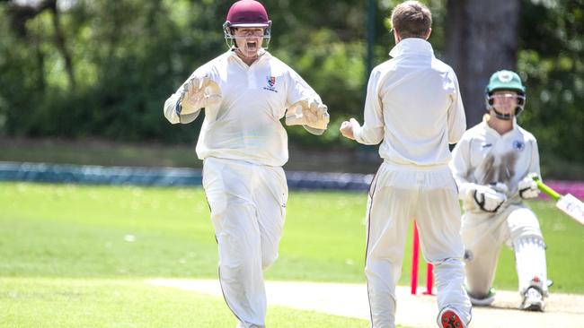 Jacob Anderson celebrates stumping in the GPS Cricket game between Brisbane Boys College and Ipswich Grammar School. (AAP Image/Richard Walker)