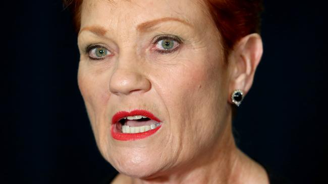 07/05/2019: Senator Pauline Hanson holds a doorstop interview on the first day of the new NSW parliament. Hollie Adams/The Australian