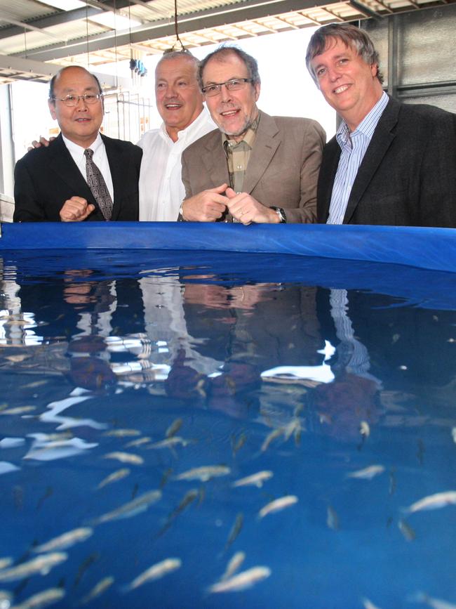 International aquaculture scientists Professor Kenji Takii, Clean Seas Tuna's Hagen Stehr, Dusseldorf University professor Chris Bridges and Development Institute's Steven Clarke at SARDI's aquatic sciences centre at West Beach back in 2009.