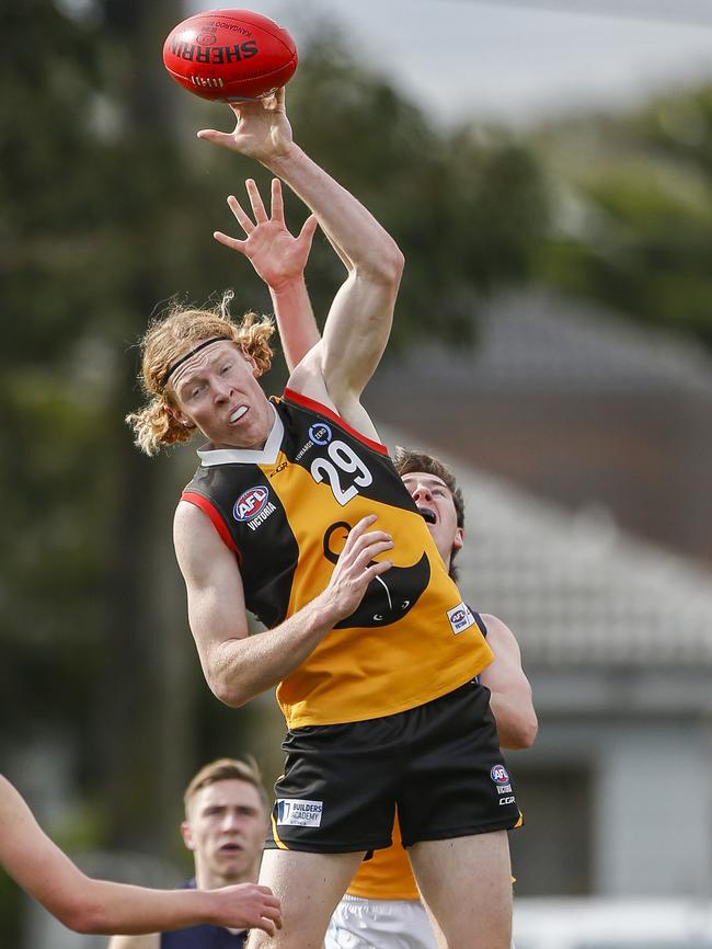 Bailey Williams in action for Dandenong Stingrays. Picture: Valeriu Campan