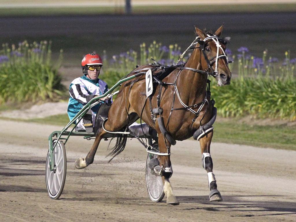 Michael Bellman has copped a ban from harness racing after flicking a whip between a colleague’s thighs. Picture: Stuart McCormick