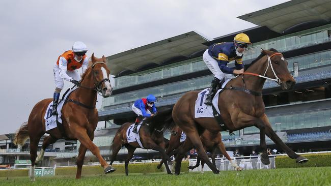 Masked Crusader (yellow cap) wins the ACY Securities Premiere Stakes during Sydney Racing on Epsom Day at Royal Randwick Racecourse on October 02. Picture: Mark Evans/Getty Images