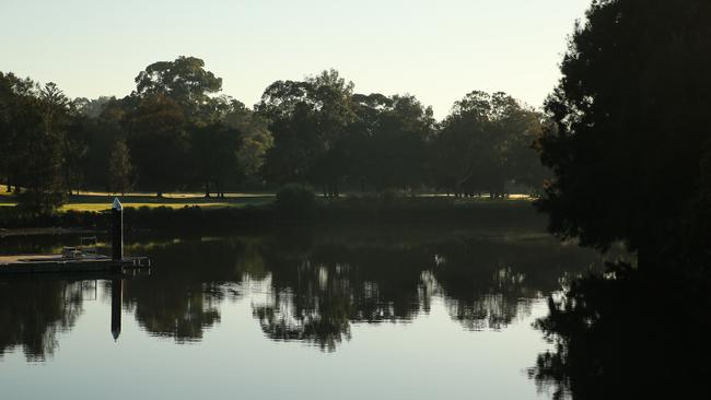 An umbilical cord and a placenta were found by the riverbank Picture: NewsWire / Gaye Gerard