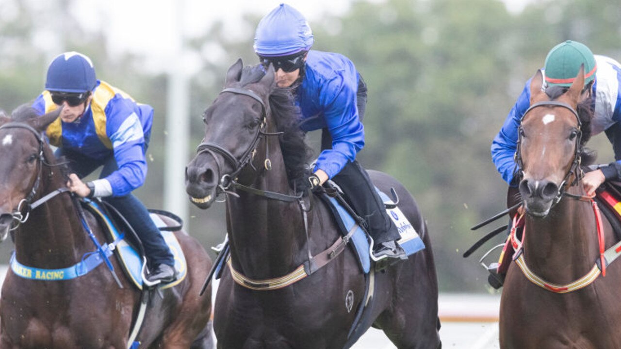 SYDNEY, AUSTRALIA - FEBRUARY 23: Rachel King on Kementari (C) and Regan Bayliss on Libertini (R) compete during barrier trials at Canterbury Park on February 23, 2021 in Sydney, Australia. (Photo by Mark Evans/Getty Images)