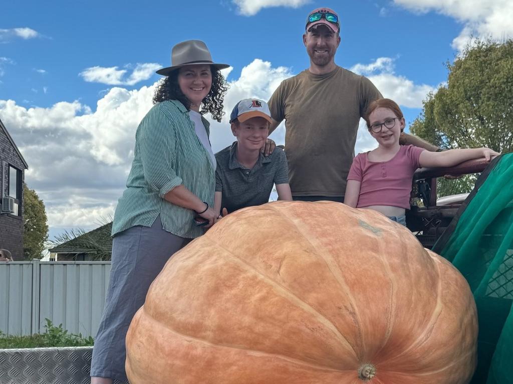 The pumpkin eventually fulfilled its purpose of providing feed for cattle, and the commodore considered preserving it as a national curiosity. Picture: Facebook