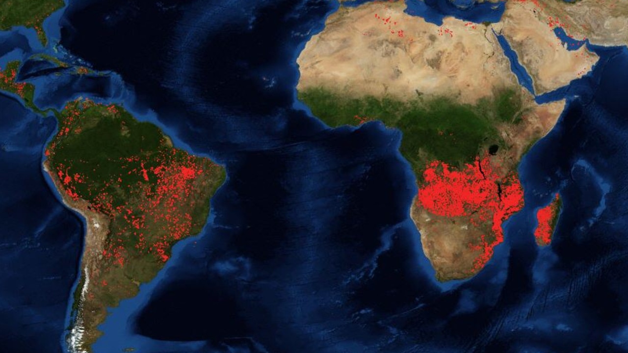 Amazon fires African fires climate change rainforest crisis The